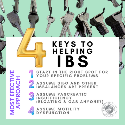 4 Keys to helping IBS - gut health, immunoglobulins