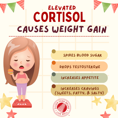 Elevated cortisol causes weight gain - gut health, stress, cortisol, saffron