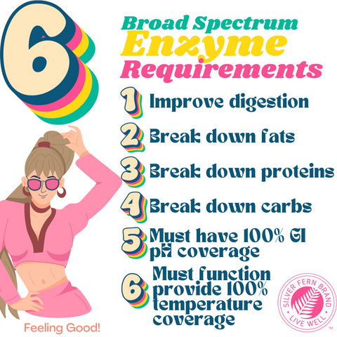 Broad spectrum digestive enzymes - gut health, bloating, nutrient absorption