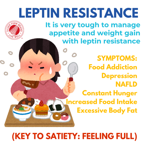 Leptin Resistance - gut health, weightloss