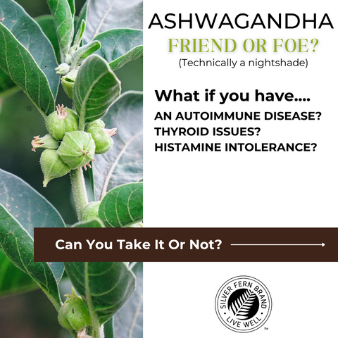 Ashwagandha, friend or foe? - gut health, motlity, autoimmune