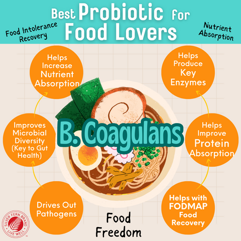The best probiotics for food lovers - gut health, probiotics, FODMAP, food intolerance