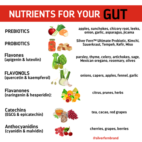 4 Steps to Gut Health-probiotics, nutrients, prebiotics, inflammation, digestive enzymes, stomach acid