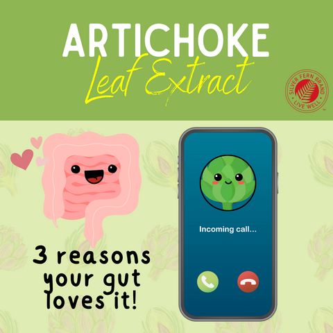 Artichoke Leaf Extract - gut health,