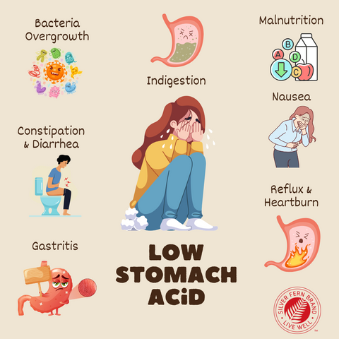 Low stomach acid - gut health, acid blockers, reflux, heartburn