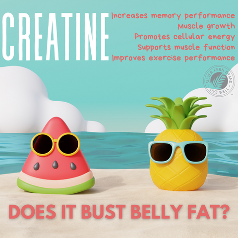 Creatine, does it bust belly fat? - gut health, supplements