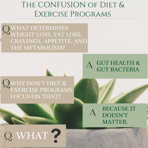 Weight loss & gut bacteria-what's the connection? diet, exercise, prebiotics, probiotics