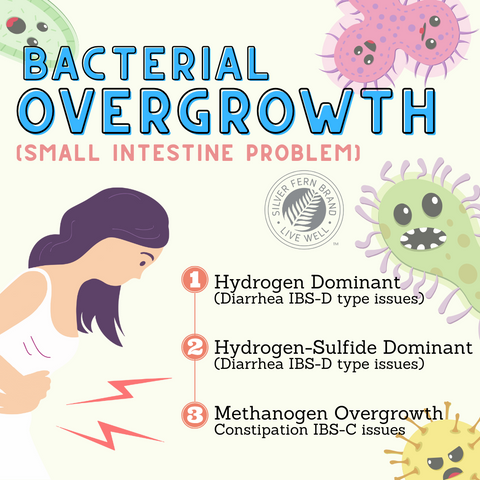 Bacterial overgrowth: a small intestine problem - gut health, microbiome