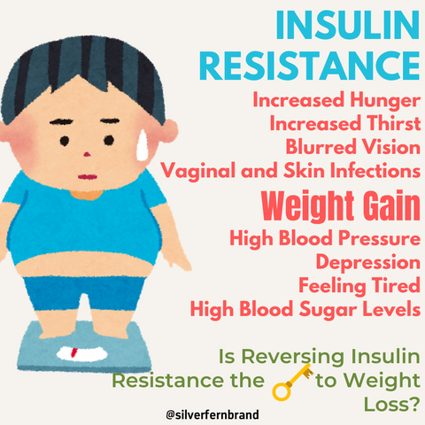 Insulin resistance - gut health, weightloss