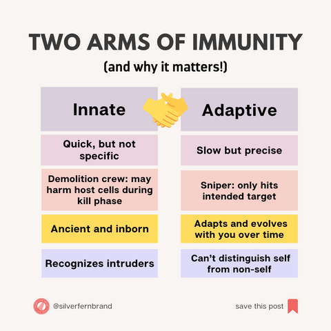 Two arms of immunity and why it matters! - gut health, adaptive & innate immune system