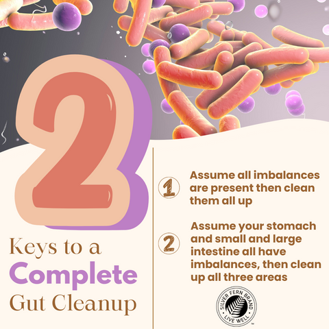 2 keys to a complete gut cleanup - gut health, pathogens, IBS, SIBO, candida