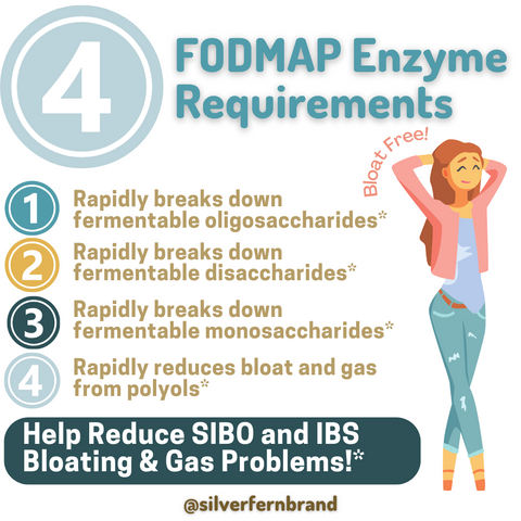 FODMAP Enzymes - gut health, digestive enzymes