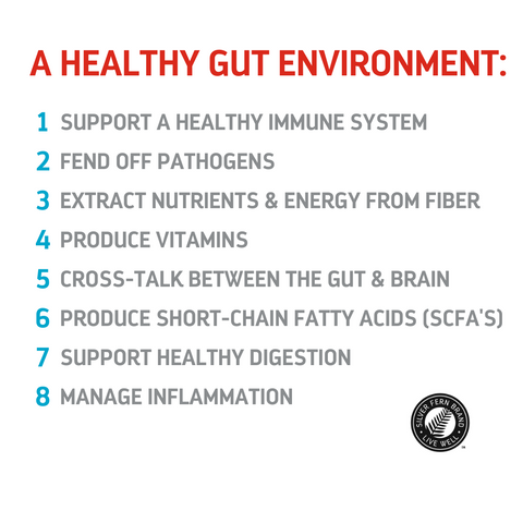 A healthy gut environment-immune system, digestion, probiotics, gut health, short-chain fatty acids