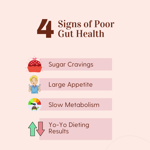 Signs of Poor Gut Health- cravings, probiotics, appetite, metabolism, prebiotics