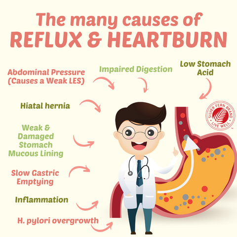 The many causes of reflux & heartburn - gut health, acid blockers