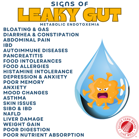 Signs of leaky gut - gut health, probiotics