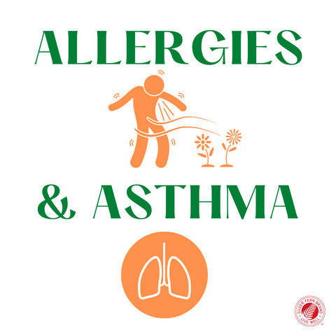 Allergies, asthma & gut health - probiotics, prebiotics, inflammation, immune system