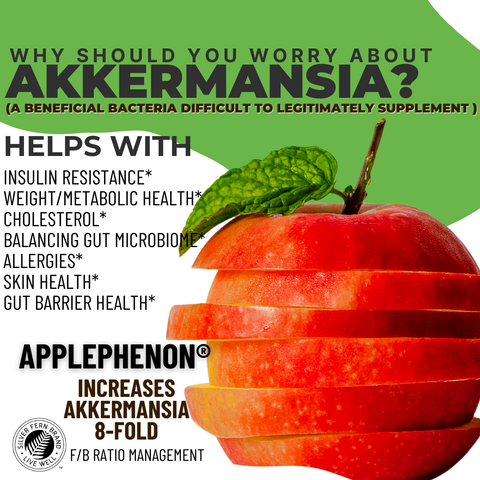 Why should you worry about akkermansia? - gut health, prebiotics