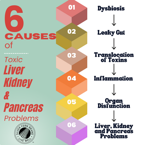 6 causes of toxic liver, kidney, & pancreas problems - gut health, probiotics, leaky gut