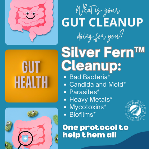 What is your gut cleanup doing for you? - gut health, detox, parasites, probiotics, prebiotics, cleanse