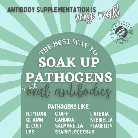 The best way to soak up pathogens - gut health, immunoglobulins, cleanse