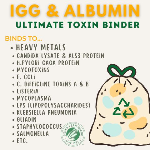 Utlimate Toxin binder IgG and Albumin - gut health, heavy metals, detox