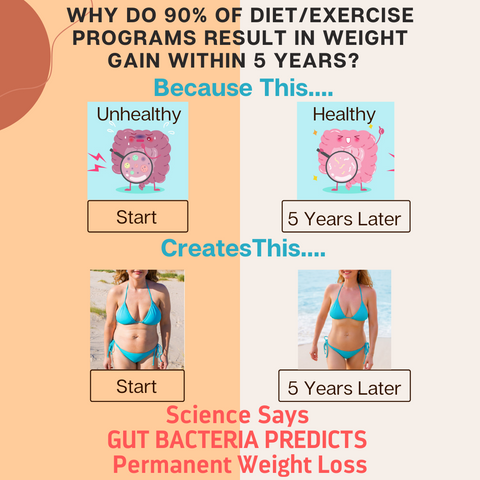 Transform the gut to transform the body-weight loss, gut health, prebiotic, probiotic, cravings, metabolism