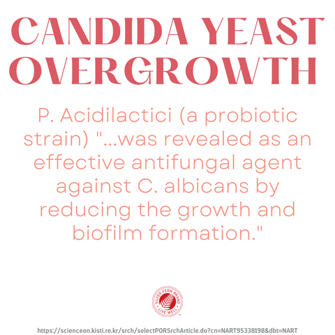 Candida overgrowth can be a result of several factors but can helped by the right probiotic strains-S. boulardii