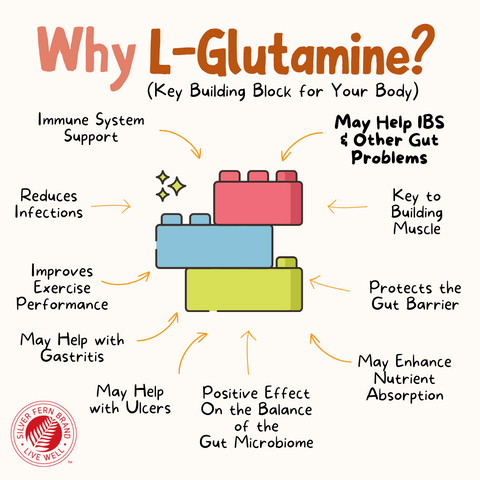 Why take L-Glutamine - gut health, gastritis, muscle recovery
