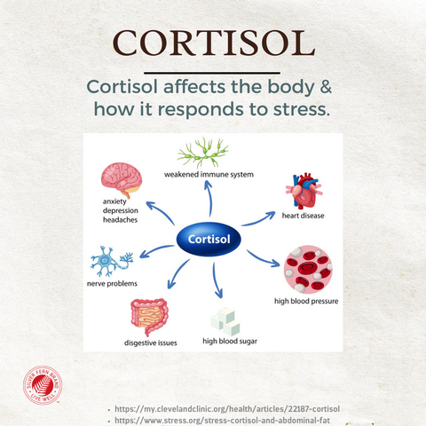 High cortisol affects most of the system in the body-stress, anxiety, weight gain, ashwagandha, acne, probiotics