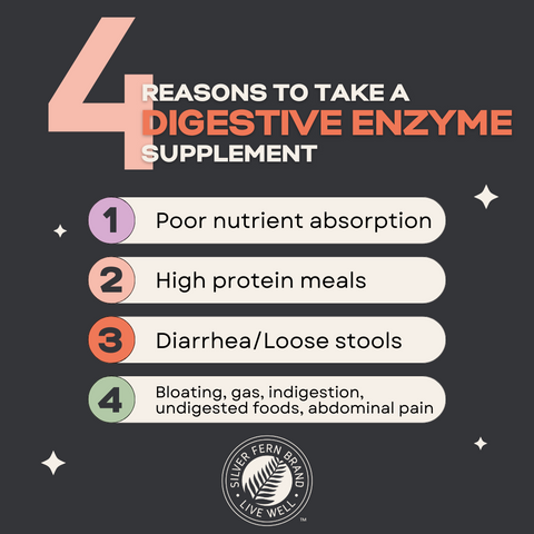 Why take a digestive enzyme supplement? - gut health, nutrient absorption