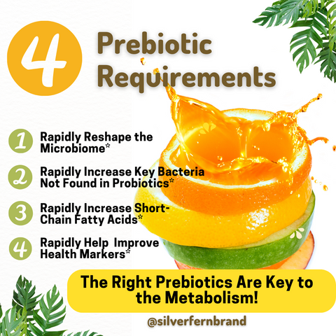 4 Prebiotic Requirements - gut health, probiotics, prebiotics
