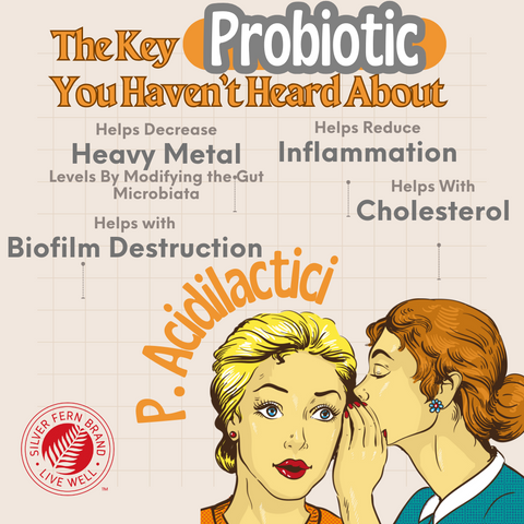 The key probiotic you haven't heard about - gut health, probiotics