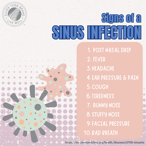 Signs of a sinus infection - gut health, immune support, allergies