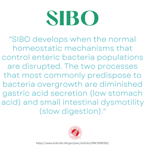 Low stomach acid and slow digestion create a foundation for SIBO-Upper GI Relief, motility, dysmotility, h. pylori
