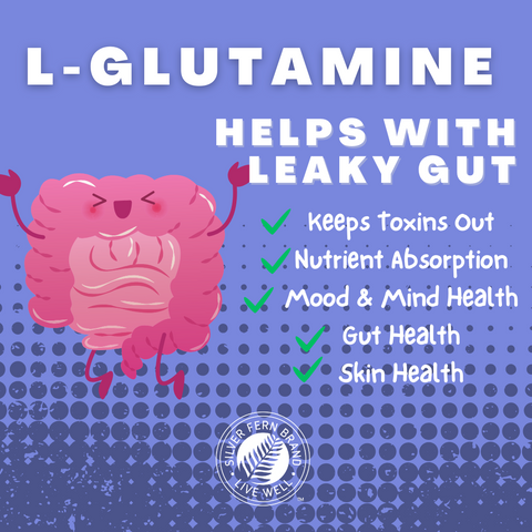 L-glutamine helps with leaky gut - gut health, gut barrier