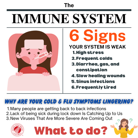 6 signs your immune system is weak - gut health, postbiotics