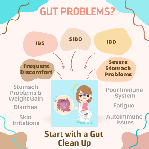 Start with a gut clean up for problems like IBS, SIBO, IBD, Stomach problems-prebiotic, probiotic, digestive enzymes