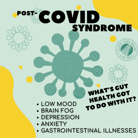 Post-Covid Syndrome - gut health, probiotics, prebiotics, immunoglobulins