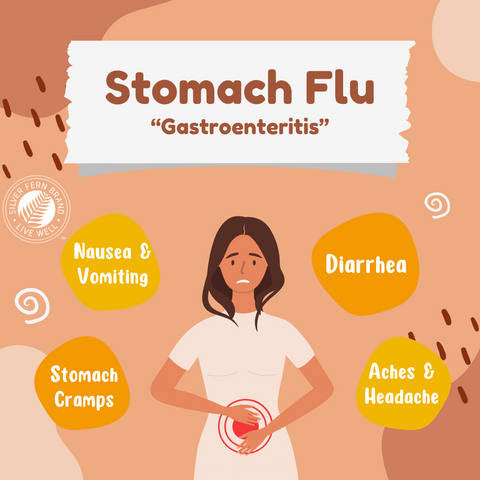 Stomach flu - gut health, immunoglobulins