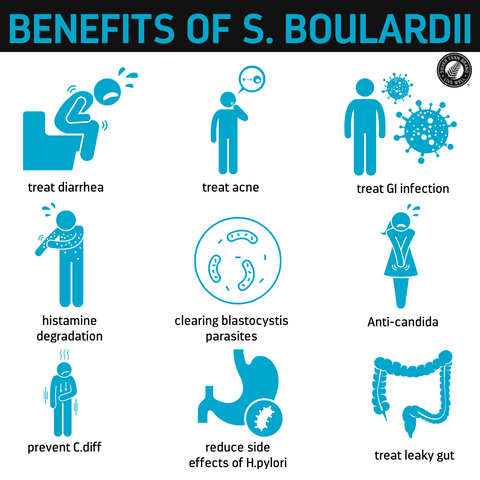 S. boulardii is a probiotic strain that has many benefits-gut health, acne, enzyme production, infection, c. diff, h. pylori