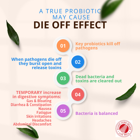 True Probiotics & Die-off Effect-pathogens, probiotics, bloating, gas, diarrhea, constipation, headaches