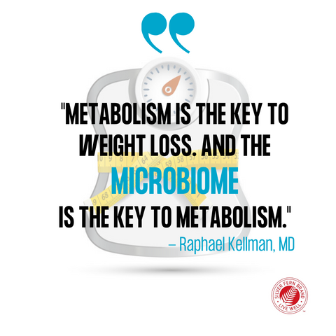 Metabolism, weight loss, & the microbiome-probiotics, prebiotics, SCFAs