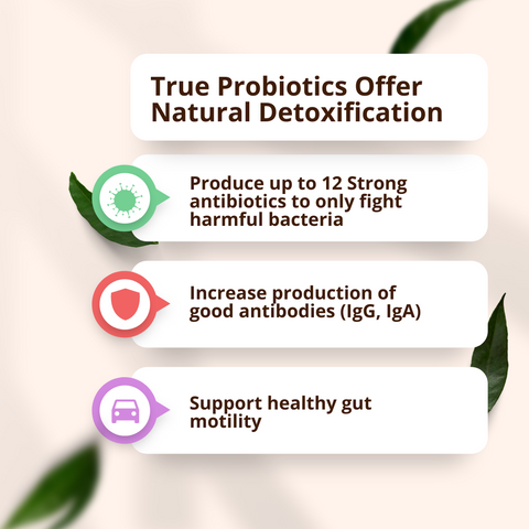 True Probiotics Offer Natural Detoxification-detox, gut health
