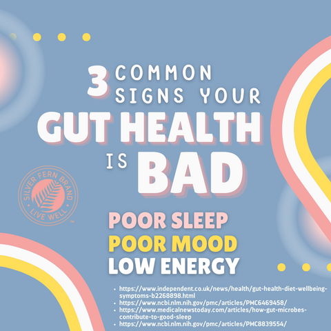 3 common signs your gut health is bad - gut health, probiotics, sleep, mood, energy