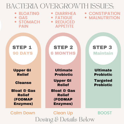 Step by step guide for bacteria overgrowth issues-probiotic, prebiotic, cleanse, gut health