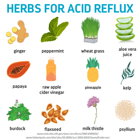 Herbs that naturally help with acid reflux - heartburn, gut health