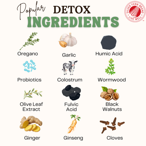 Popular Detox Ingredients - gut health, detox