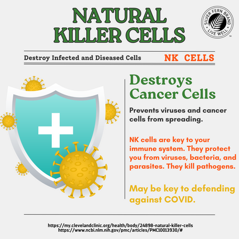 Natural Killer Cells (NK cells) - gut health, postbiotics
