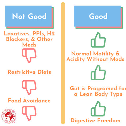 Why is gut health important? - mental health, mood, metabolism, immune system, nutrient absorption, food intolerance, food allergy, SIBO, IBS, indigestion, heartburn, reflux, bloating